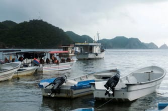 Cocaine Supply Unfazed by US Boat Strikes: Pentagon and DEA