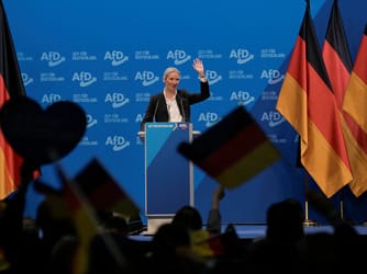 AfD Leader Calls for Germany to Quit Euro and Schengen