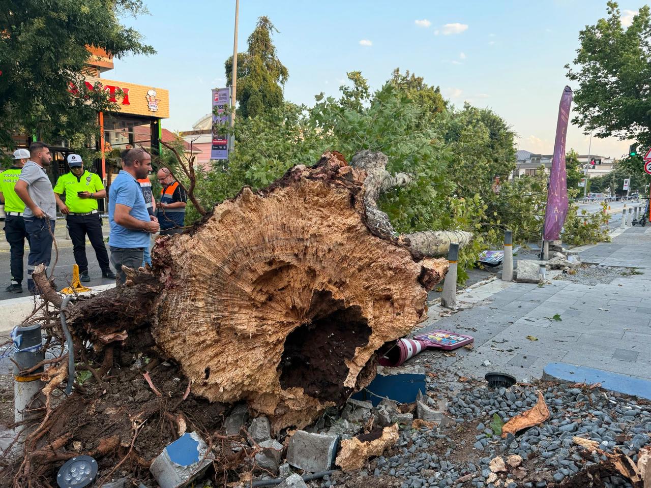 İstanbul da devrilen ağaçlar