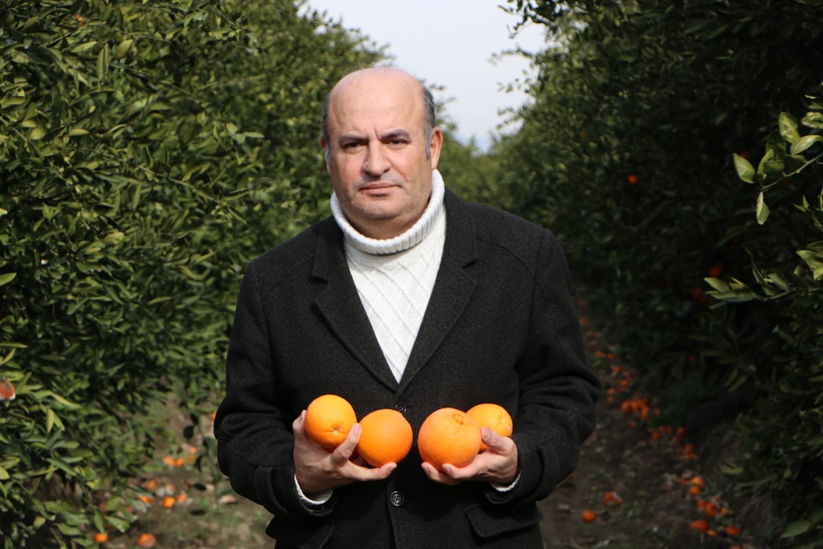 Adana Tarım Platformu Sözcüsü Cahit İncefikir - DHA