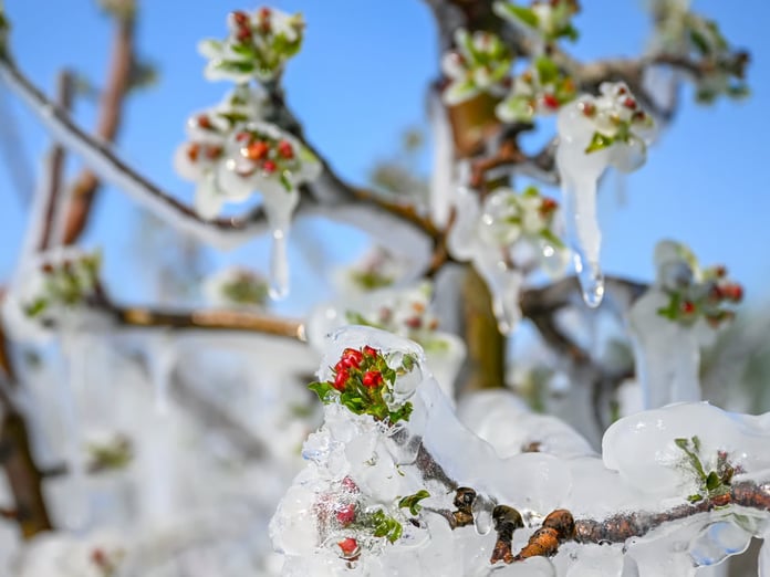 Orhan Şen 'kötü bir haber var' diyerek duyurdu