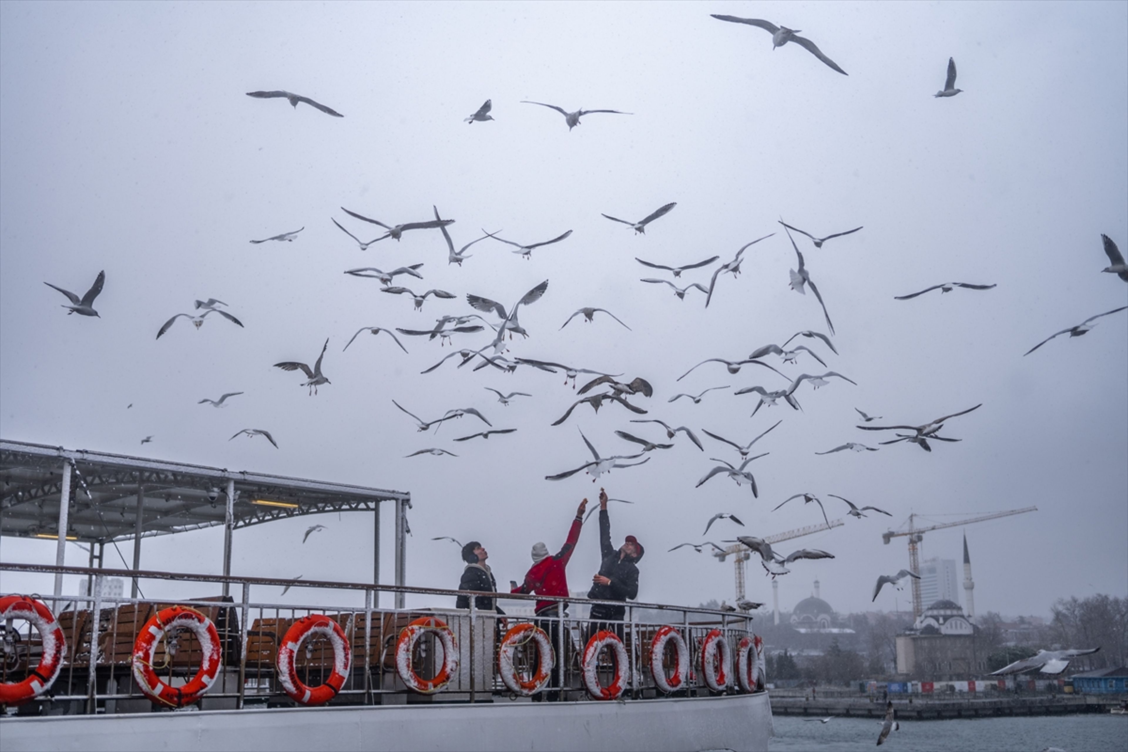 Galeri Fotoğrafı
