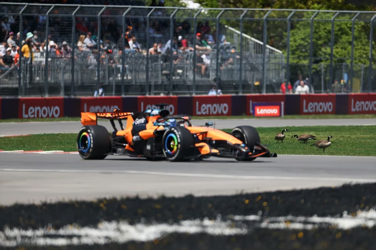 Formula 1'de sıradaki durak Kanada