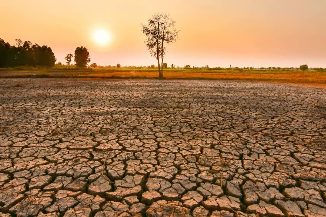 El Nino küresel açlığı derinleştirebilir