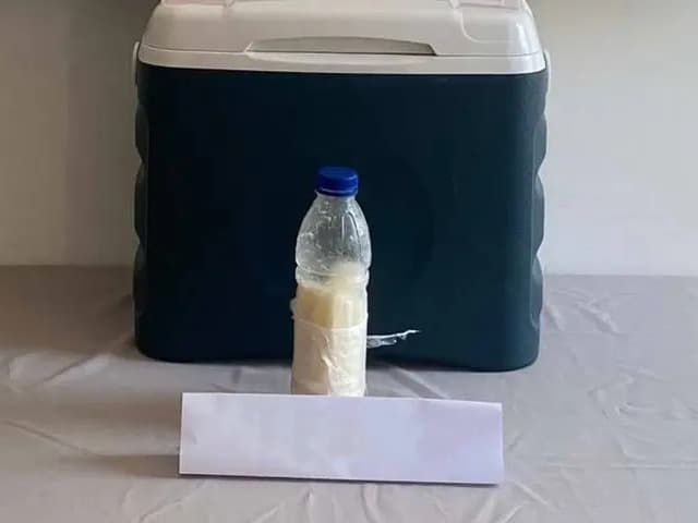 Suriye'den getirdiler Yalova'da yakalandılar