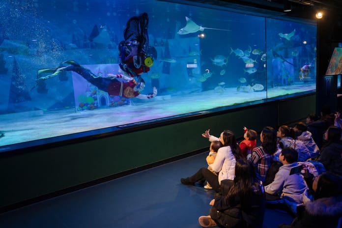 Aileler ve çocuklar için unutulmaz anlar