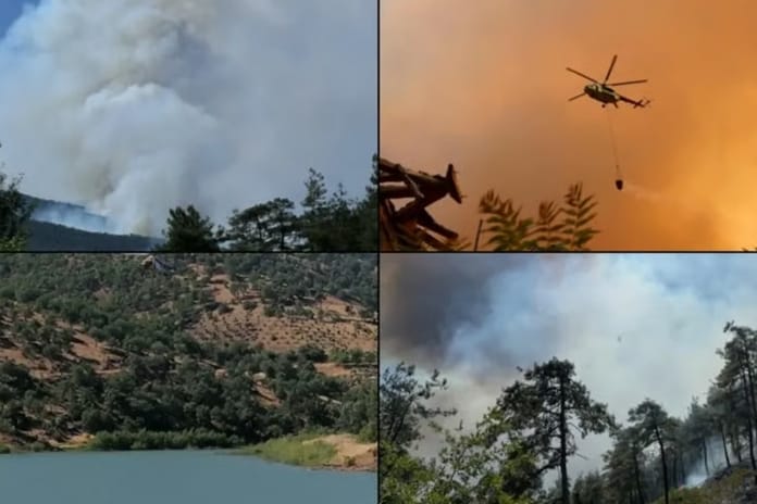 Türkiye genelinde 47 ilde ormanlara giriş yasağı