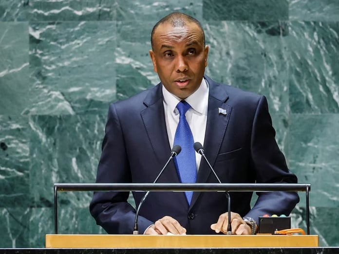 Somali Başbakanı Barre: "Trump'a yanıt vermeye bile gerek yok"