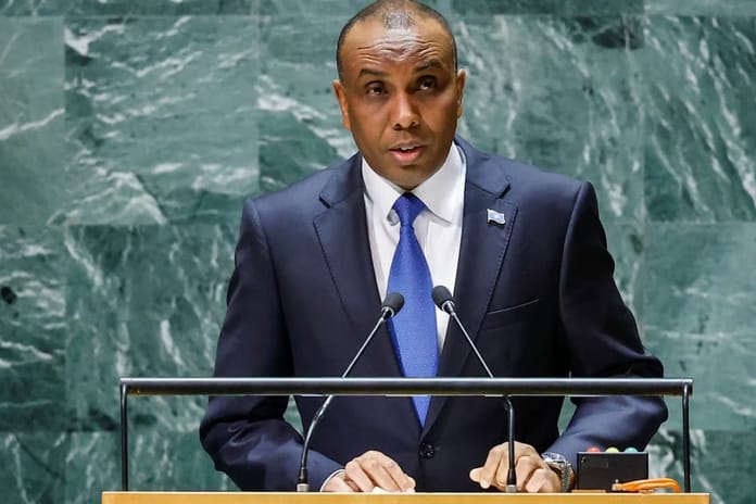 Somali Başbakanı Barre: "Trump'a yanıt vermeye bile gerek yok"