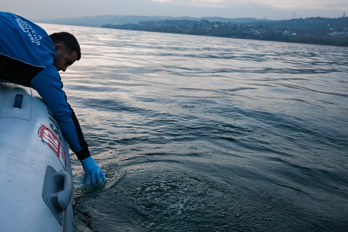 Sapanca Gölü’ndeki kabarcıklar su kalitesini etkilemiyor: Doğal hava çıkışı olduğu tespit edildi