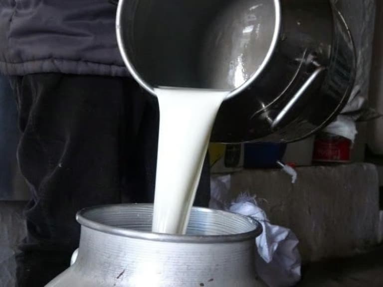 Çiğ süte zam geldi