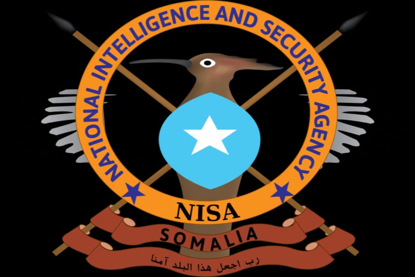 Somali Intelligence Kills 15 al-Shabaab Fighters