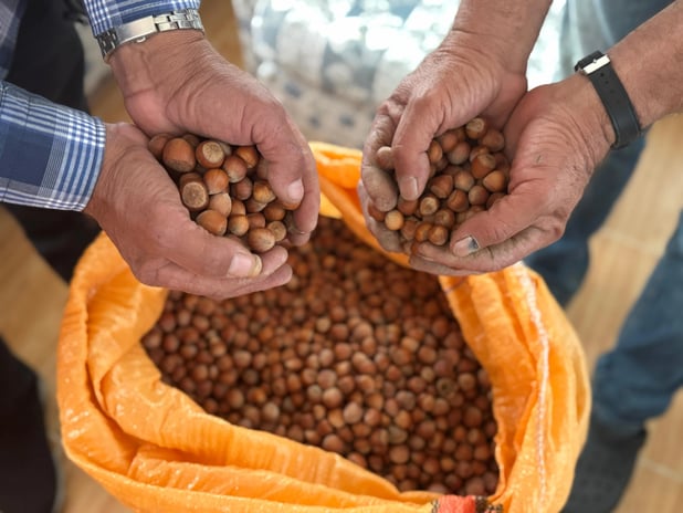 Fındık üreticisi fiyat artışı bekliyor: Ürünlerin yarısı evlerde bekletiliyor