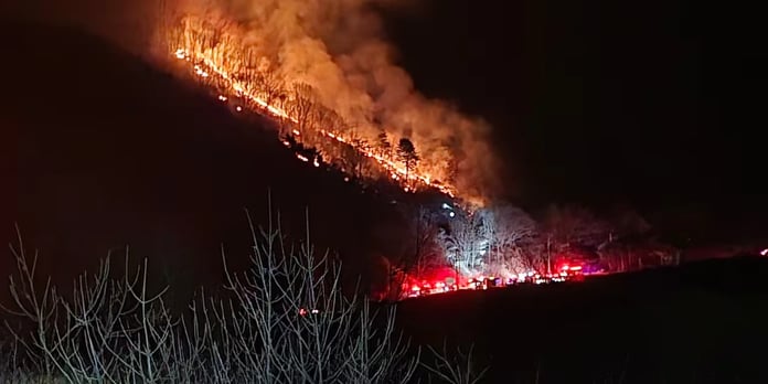 Fotoğraf / Korea Herald