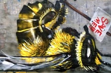 Şehrin sokakları arılar için alarm veriyor