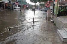 Foça'da sağanak yağış ve dere taşması: Ev ve iş yerlerini su bastı