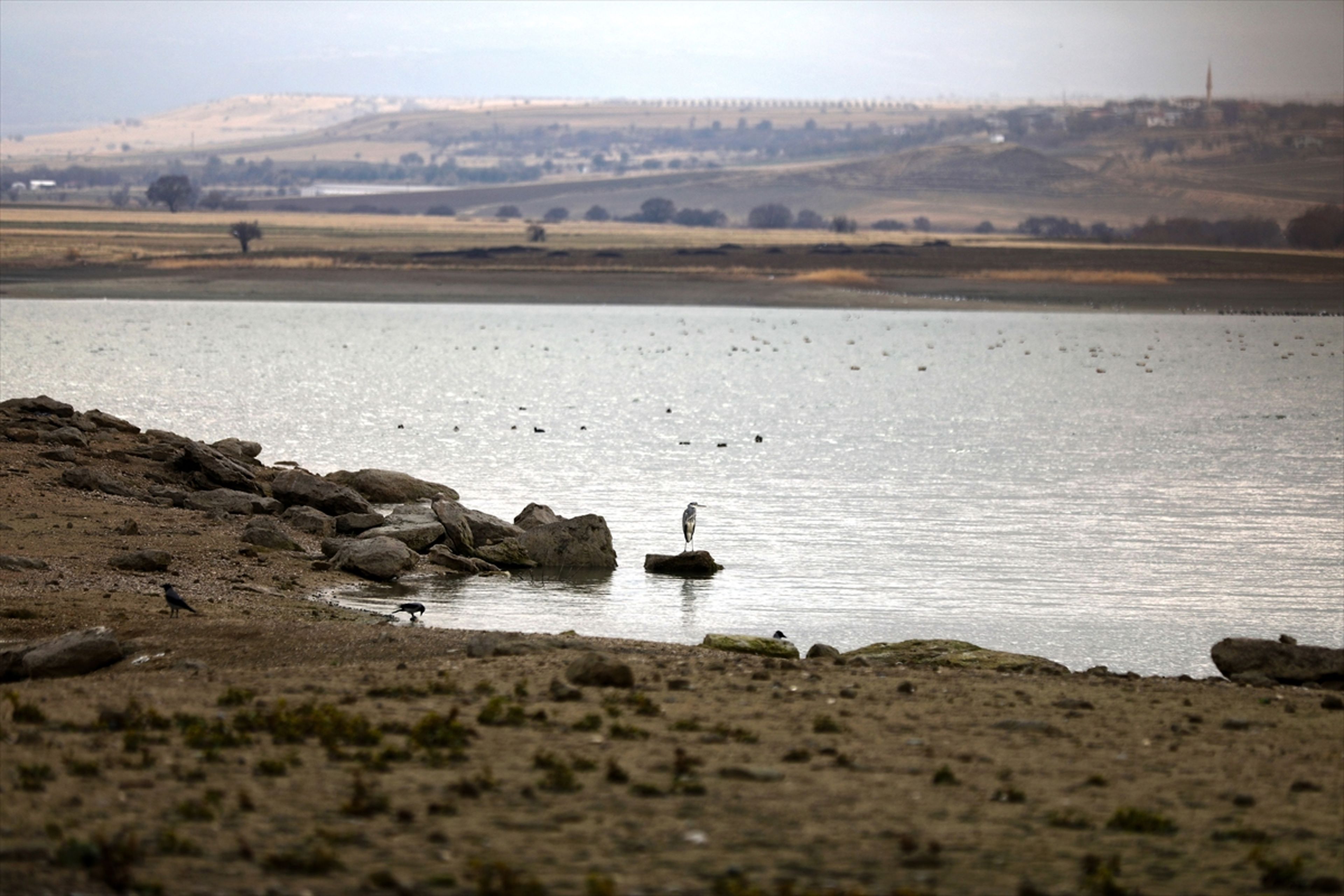 Galeri Fotoğrafı