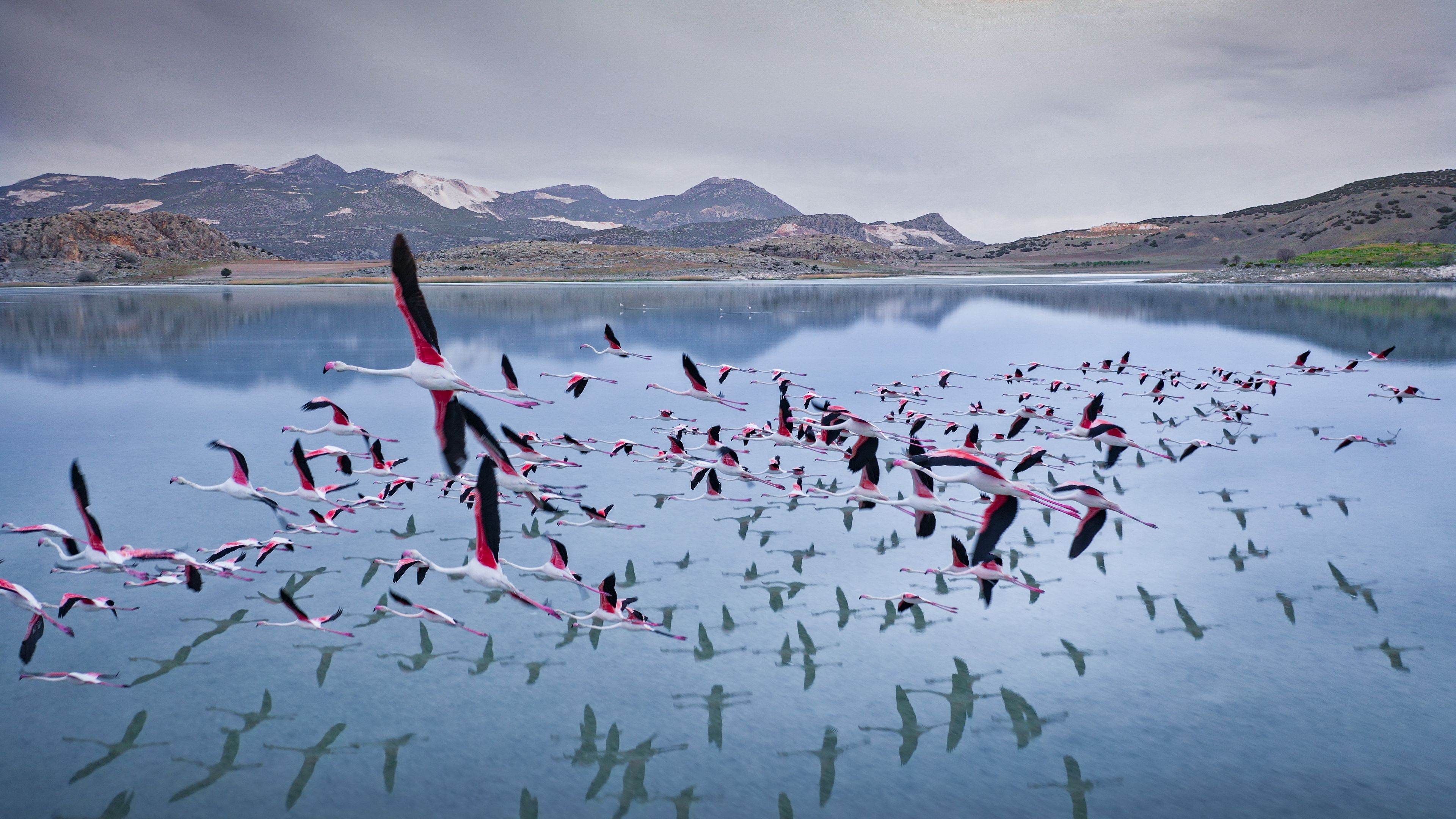 Galeri Fotoğrafı