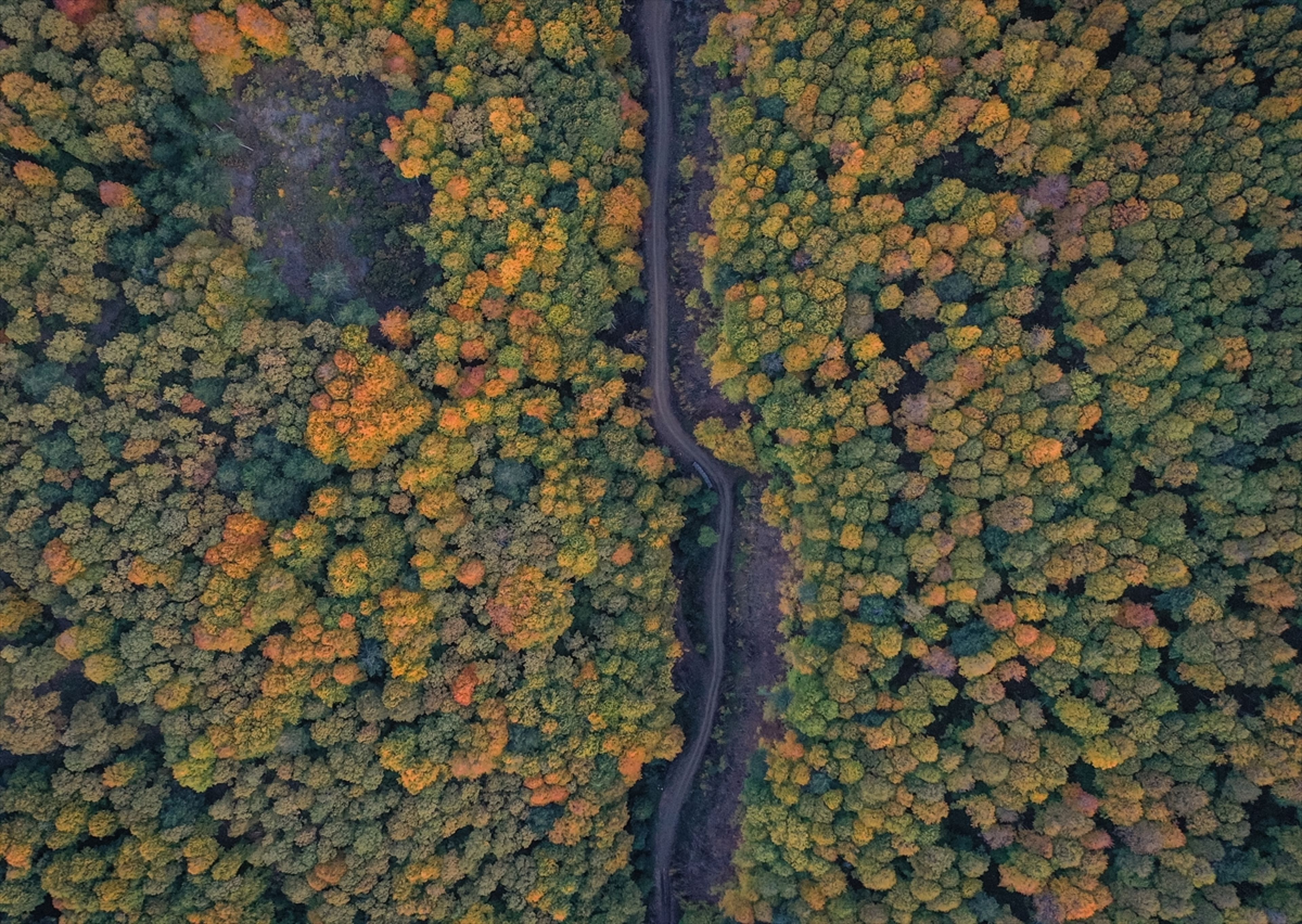 Galeri Fotoğrafı