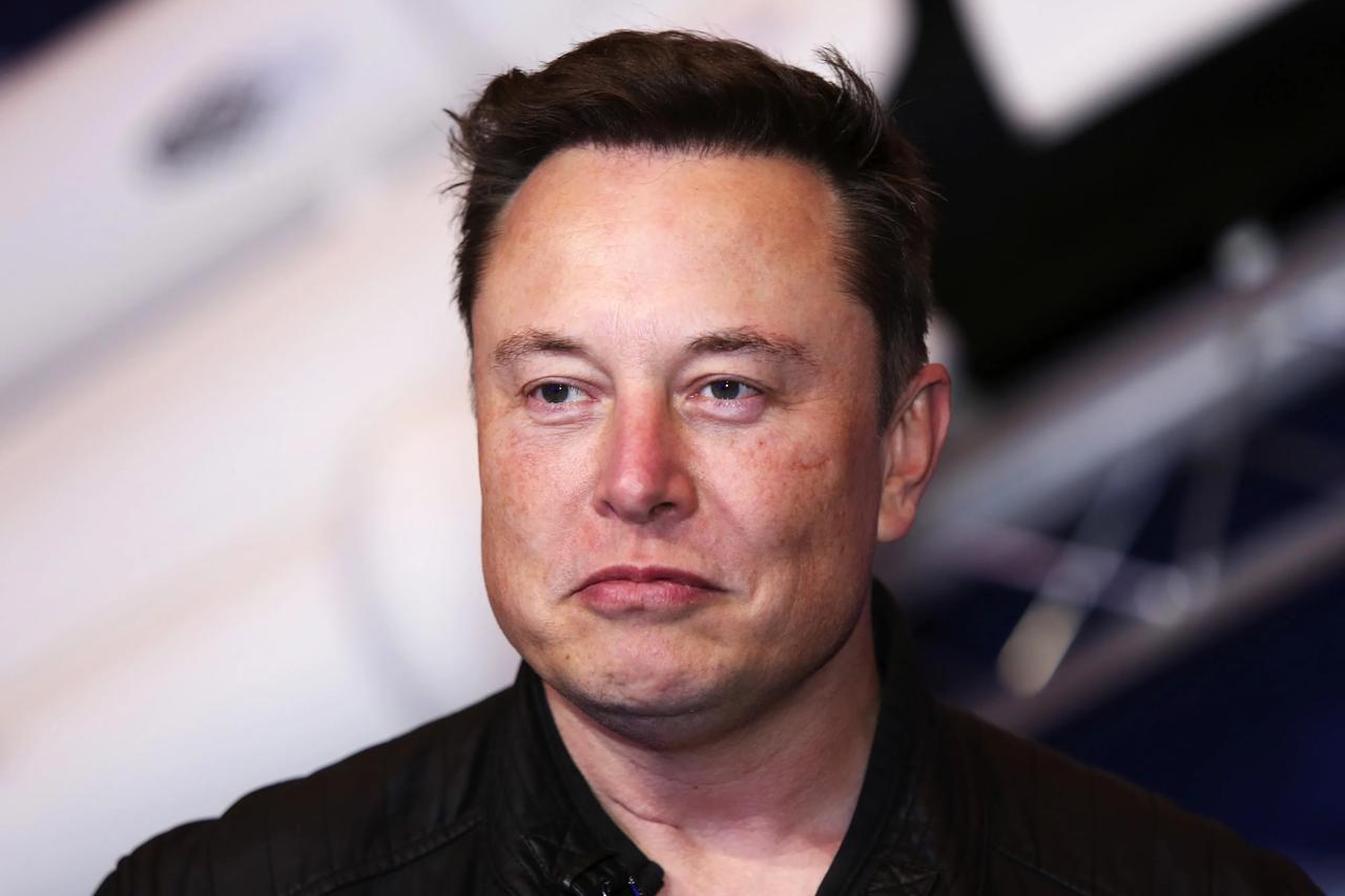 Elon Musk'tan AfD'ye açık destek 