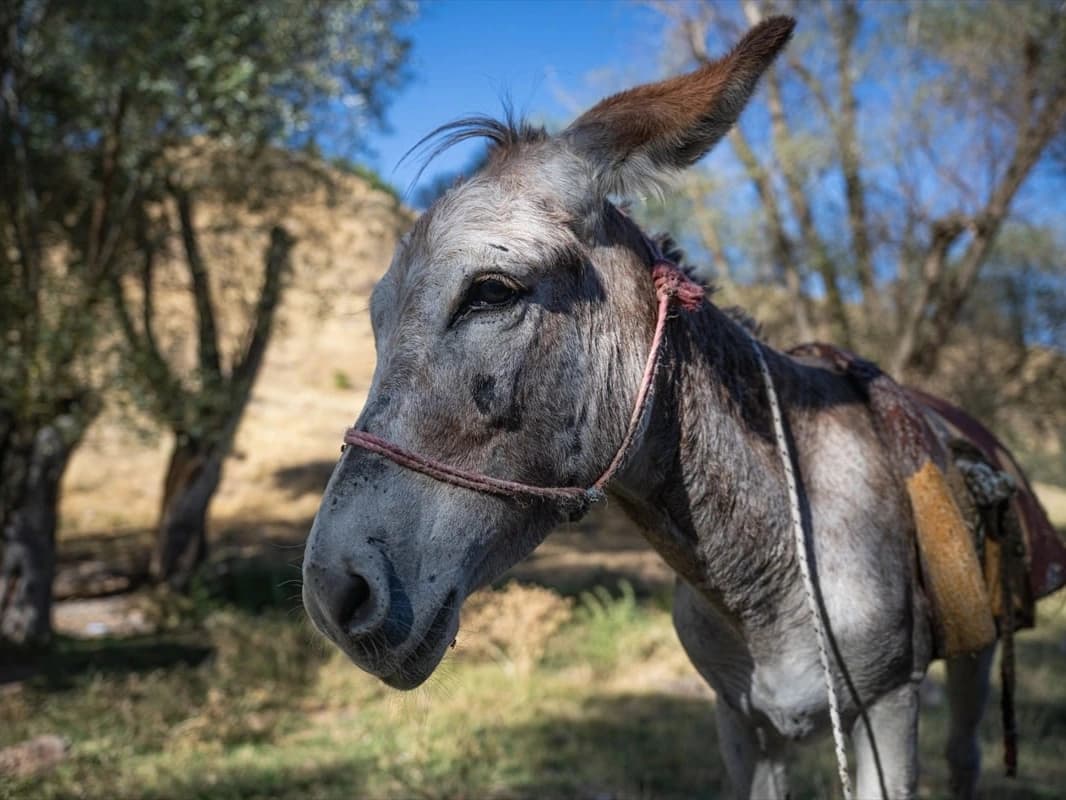 Yediemin otoparkına çekilmişti
