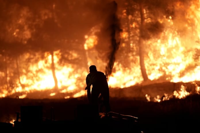 Orman yangınlarına ilişkin soruşturmalarda tutuklu sayısı 13'e yükseldi