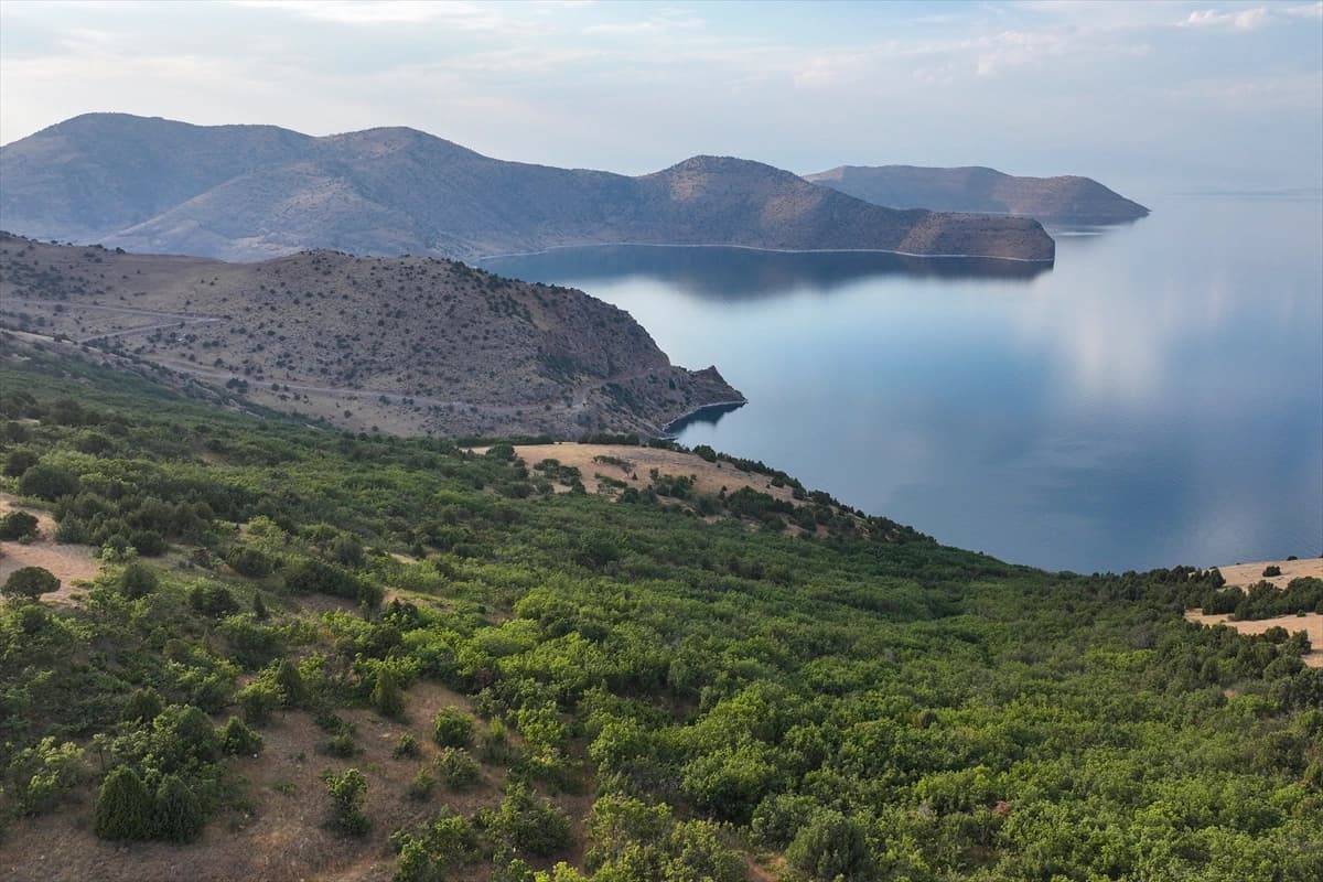 Deveboynu Yarımadası milli park statüsü kazanmaya hazırlanıyor