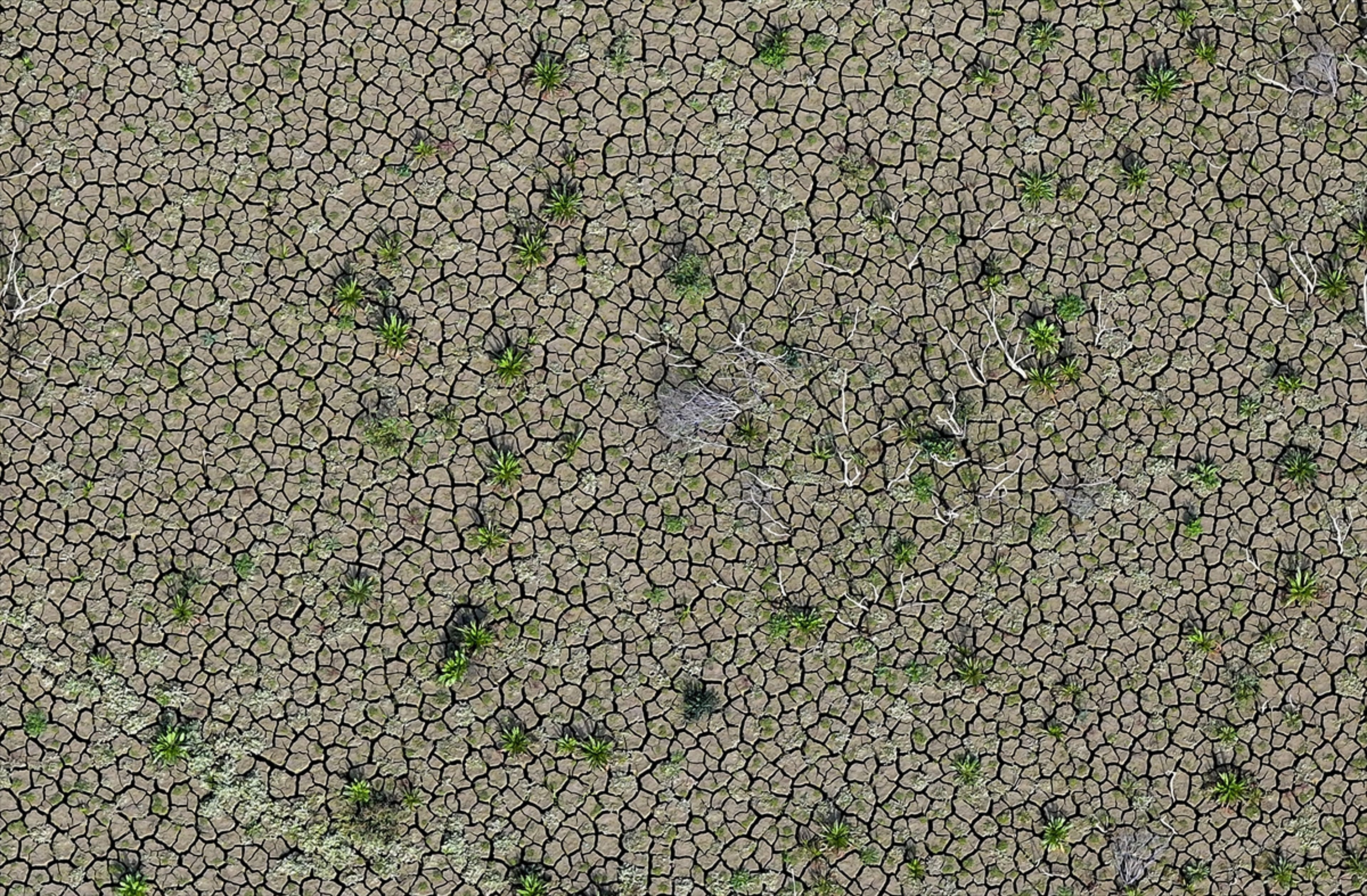 Galeri Fotoğrafı
