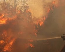 İsrail'de orman yangınları yerleşim yerlerine dayandı