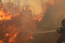 İsrail'de orman yangınları yerleşim yerlerine dayandı