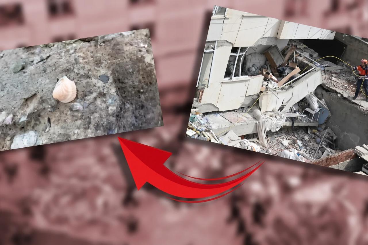 Maltepe'de 5 kişinin öldüğü binanın betonundan deniz kabuğu çıktı