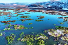 Ladik Gölü beyaz gelinliği giydi: Kar altında görsel şölen