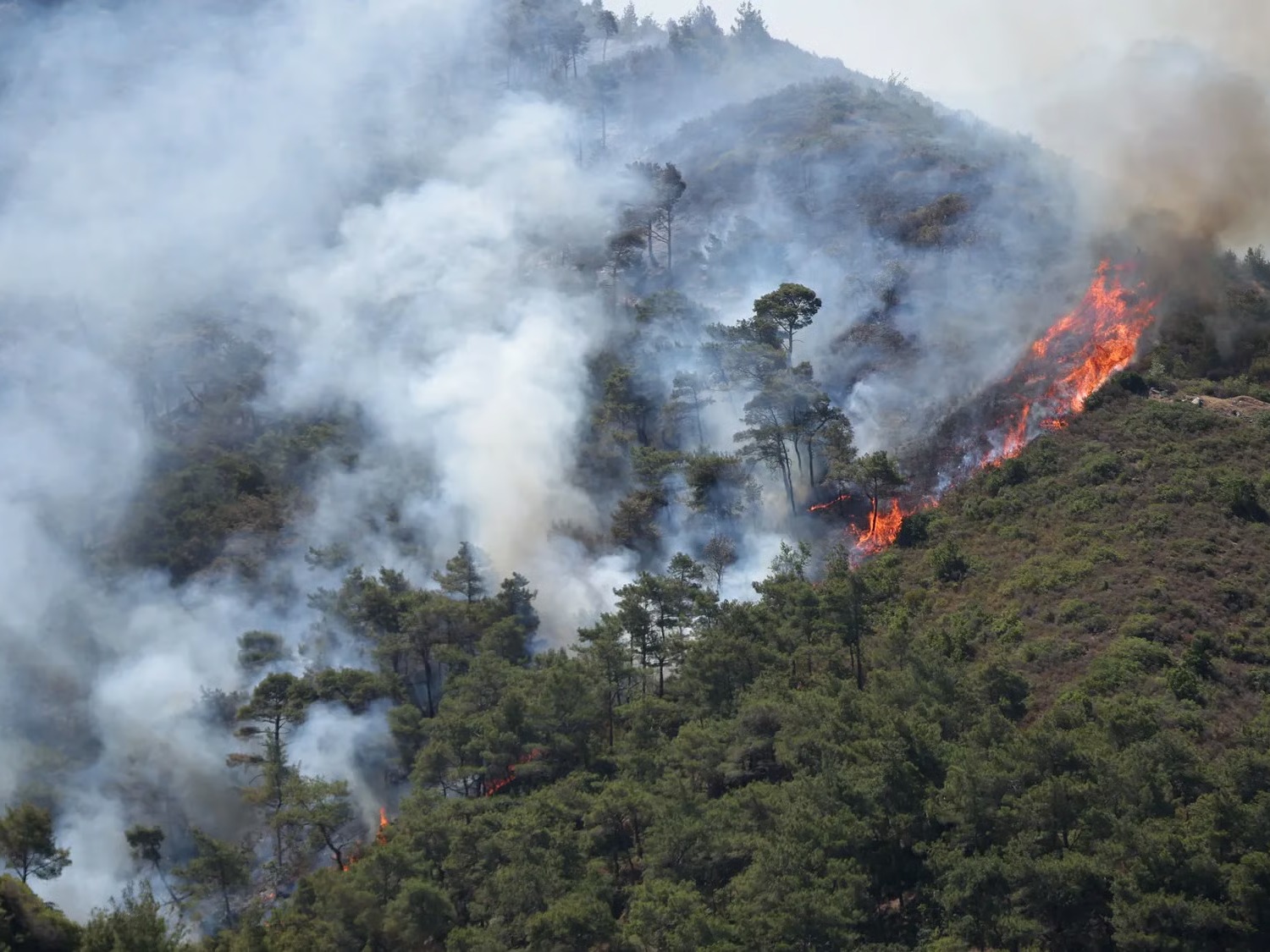 Wildfires Ravage Northern Latakia as Syria, Jordan, Turkey 