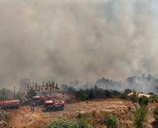 Suriye'de orman yangınlarıyla ilgili gözaltılar başladı