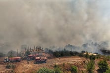 Suriye'de orman yangınlarıyla ilgili gözaltılar başladı