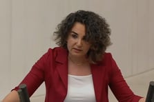 DEM Partili Çiçek Otlu'nun translarla ilgili talebi tartışma yarattı