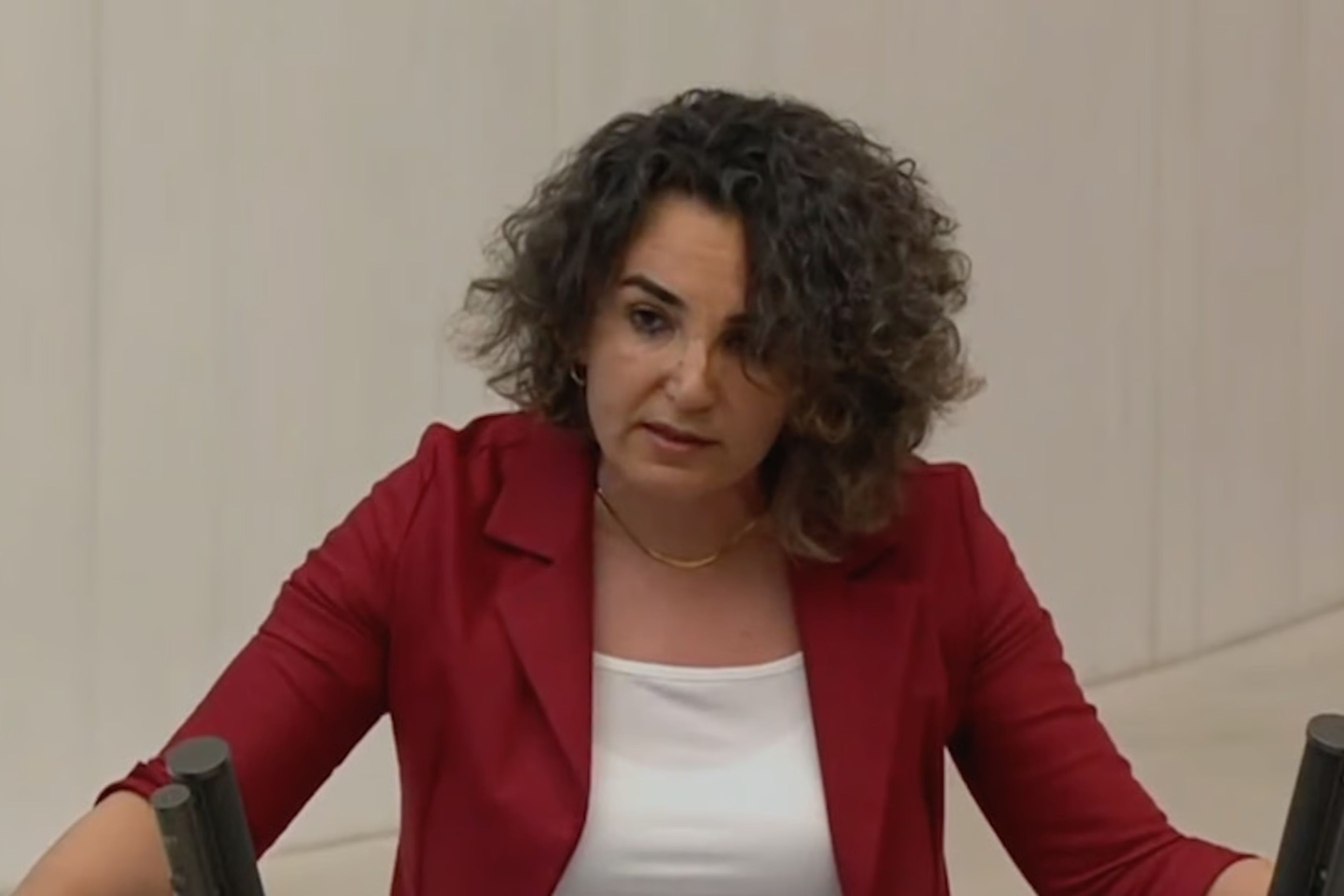 DEM Partili Çiçek Otlu'nun translarla ilgili talebi tartışma yarattı