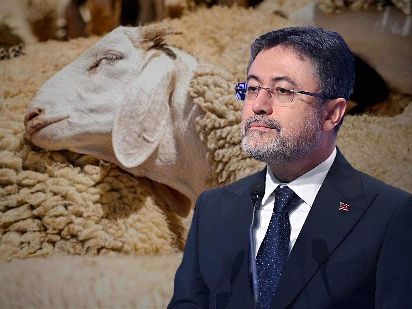 Elde kalan, satılamayan kurbanlıklar ne olacak? Bakan Yumaklı merak edilen detayları açıkladı