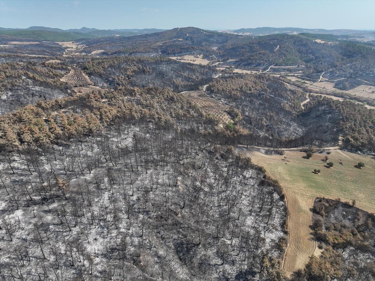 Çanakkale Gelibolu'daki orman yangını kontrol altına alındı