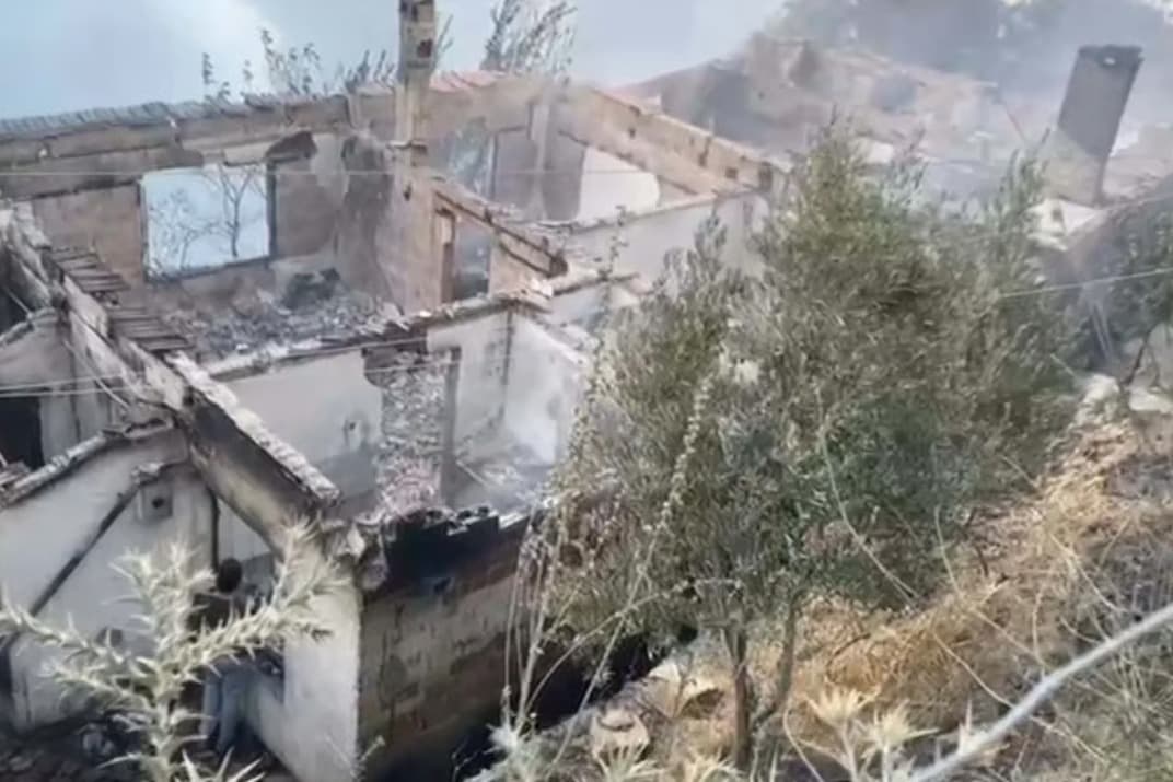 İzmir'deki orman yangınında can kaybı