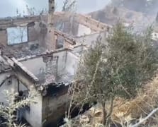 İzmir Ödemiş'teki orman yangınında can kaybı