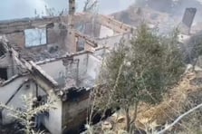 İzmir Ödemiş'teki orman yangınında can kaybı