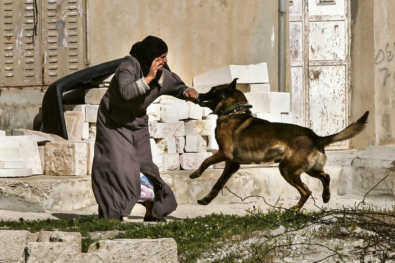Köpeklerle kadın esirlere saldırdılar