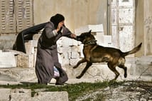 Filistinli kadın esirlere İsrail hapishanesinde işkence: Köpeklerle saldırdılar