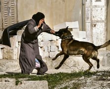 Filistinli kadın esirlere İsrail hapishanesinde işkence: Köpeklerle saldırdılar