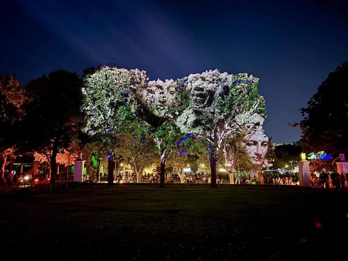 Cape Town'daki ışık festivali renkli görüntülere sahne oldu