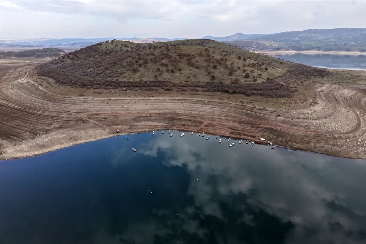 Manisa'daki Demirköprü Barajı yosunla kaplandı