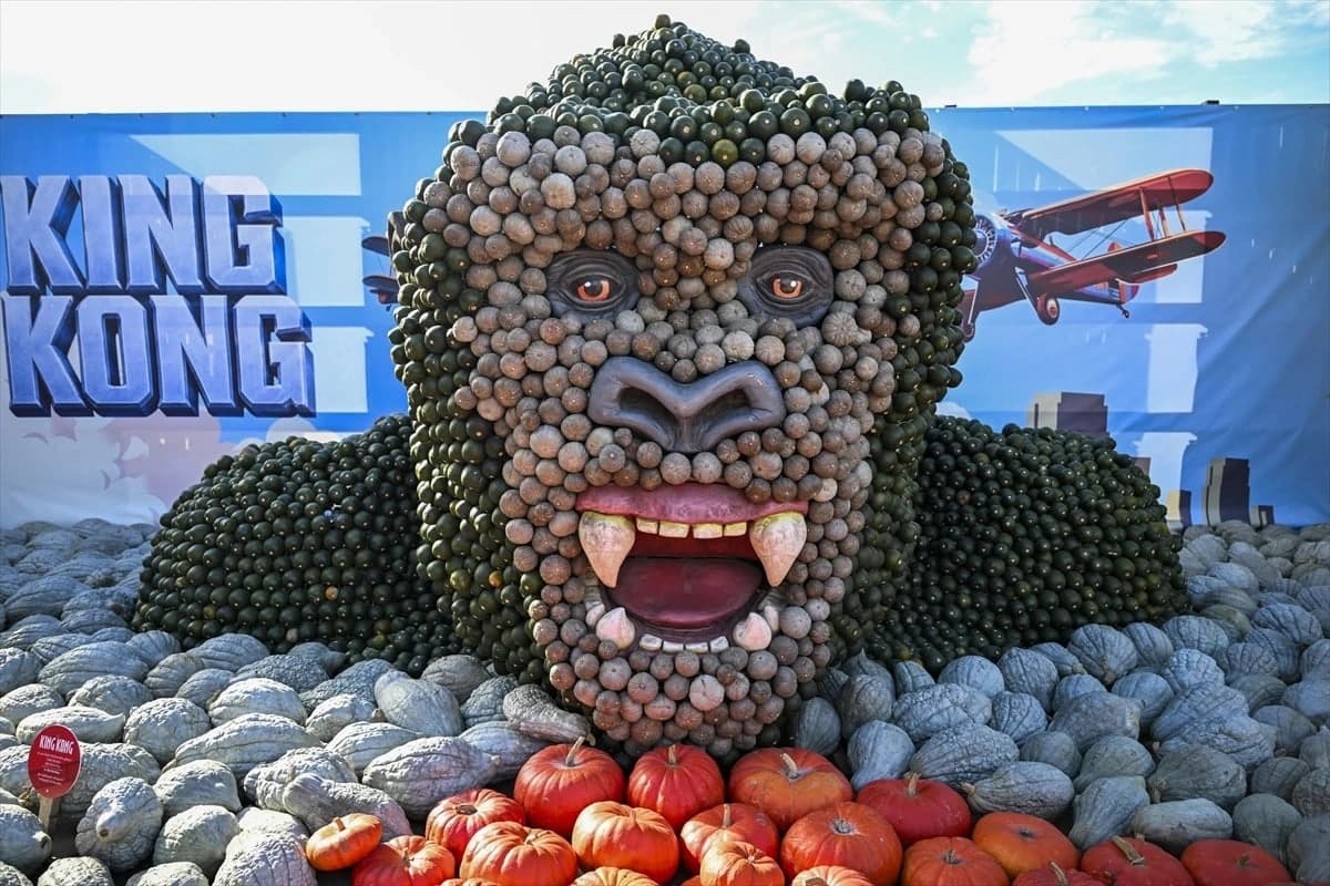 Hollywood esintili balkabakları eğlenceli anlar yaşatıyor