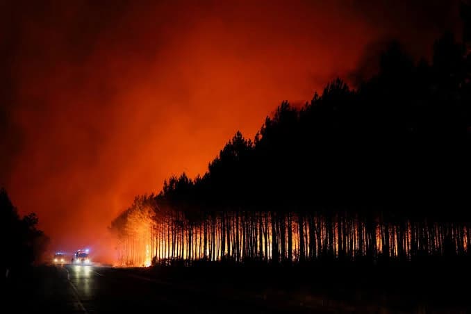 Acil durum ilan edildi - AFP