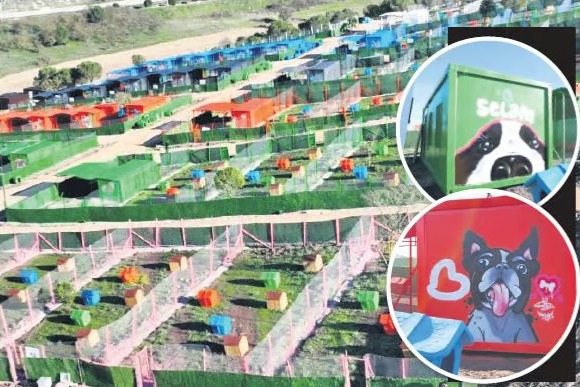 Deprem konteynerleri hayvan barınağında kullanıldı